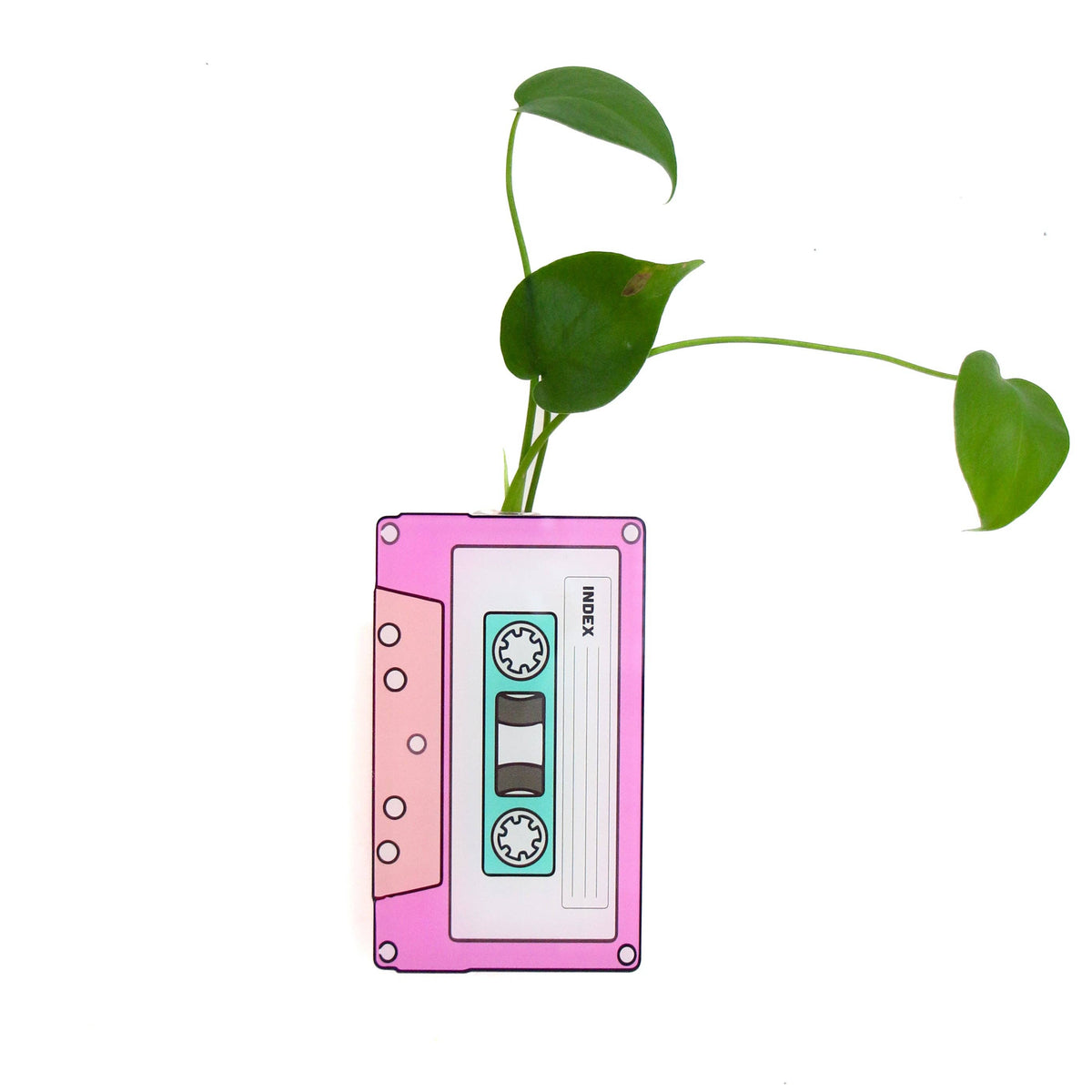 80s Mix Tape Propagation Vase