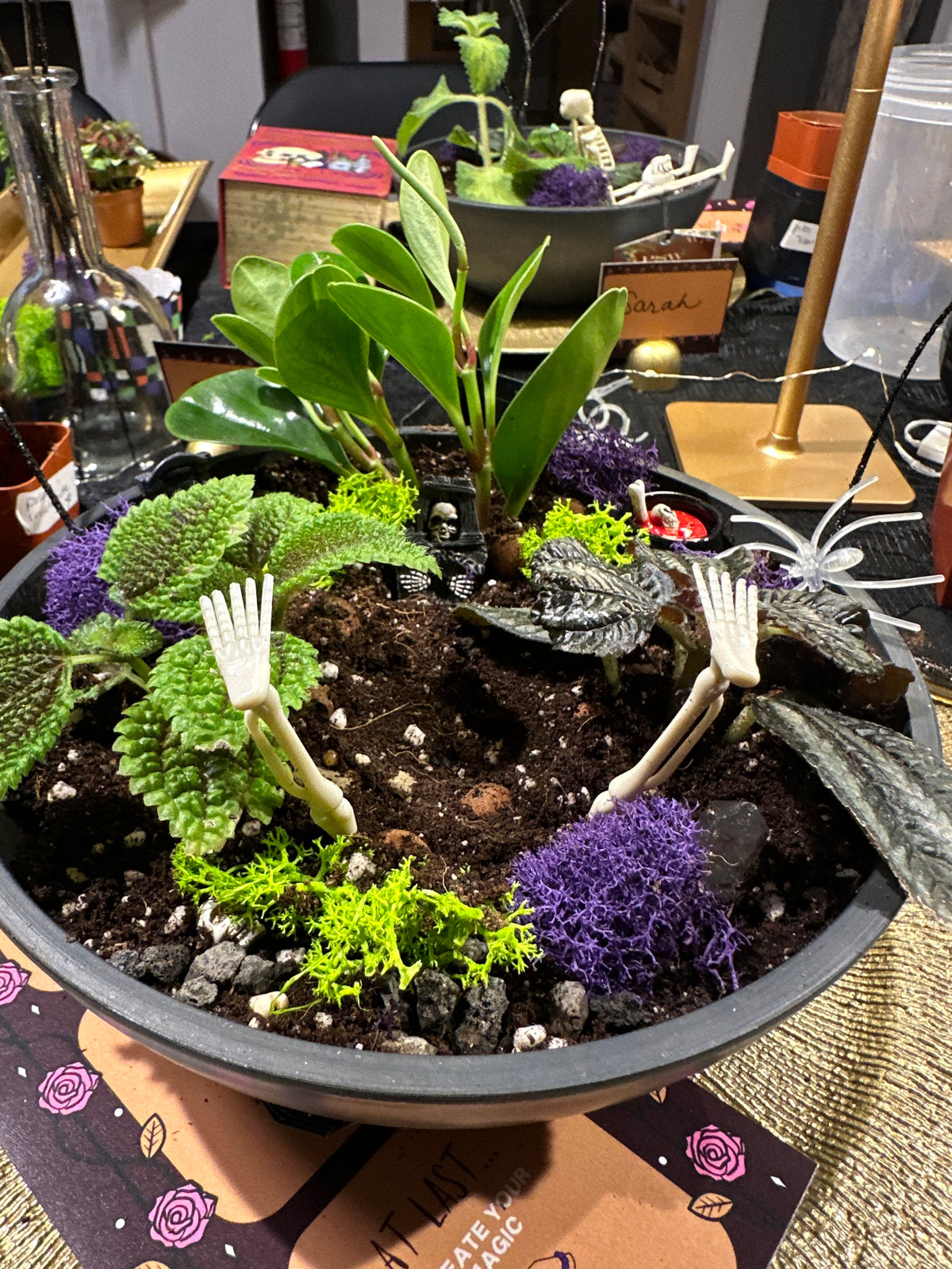 Halloween Indoor Garden - In Person Class