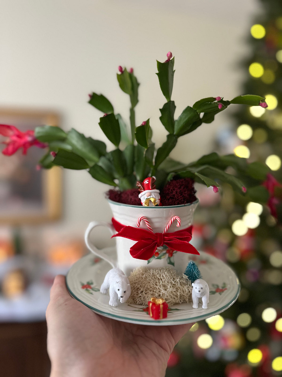 Holiday/Christmas Tea Cup Garden - In Person Class