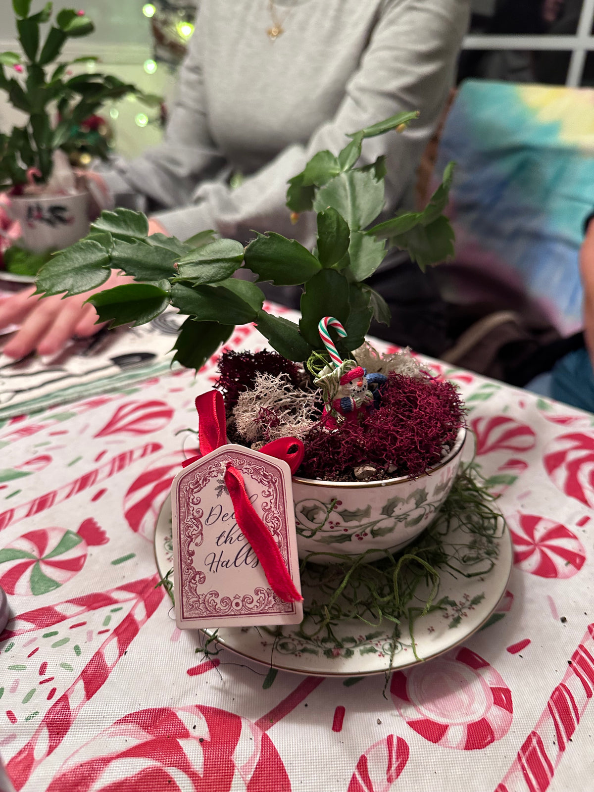 Holiday/Christmas Tea Cup Garden - In Person Class