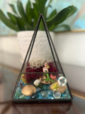 Mermaid & Crystal Air Plant Terrarium